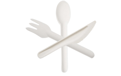 Compostable Sugarcane Cutlery