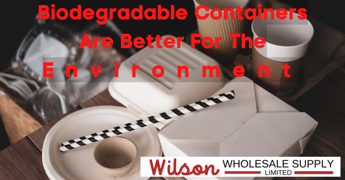 Biodegradable Containers Are Better For The Environment Blog 2 FI