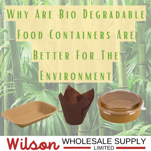 Bio Degradable Containers Are Better For The Environment
