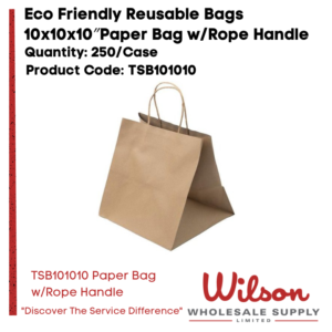 TSB101010-Paper Bag wRope Handle