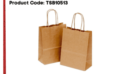 TSB10513-Paper Bag wRope Handle