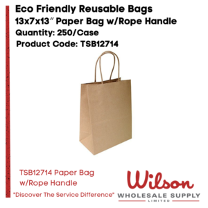 TSB13713- Paper Bag wRope Handle