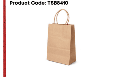 TSB8410- Paper Bag wRope Handle