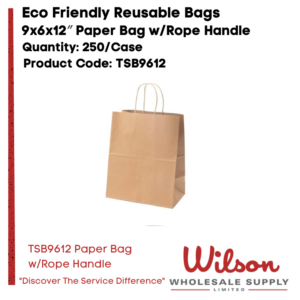 TSB9612- Paper Bag wRope Handle