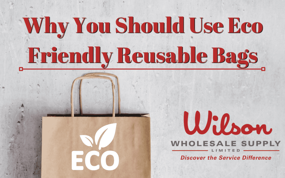 Why You Should Use Eco Friendly Reusable Bags